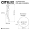 Светильник Citilux CL102050