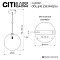 Светильник Citilux CL202021